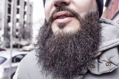 L’art de brosser sa barbe