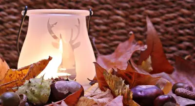 Les couleurs tendances de l’hiver en décoration