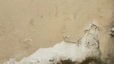 Optimisez la qualité de votre maison : travaux d'assainissement essentiels