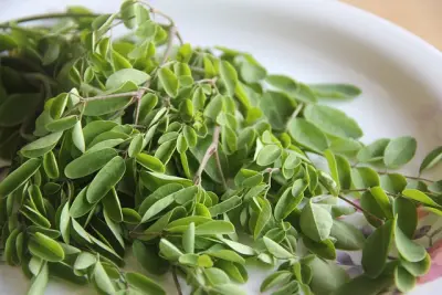 Pour quelles raisons pouvez-vous consommer du moringa?