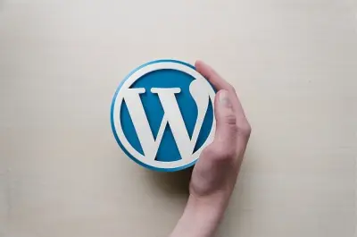 WordPress, le meilleur CMS du monde